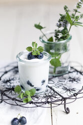 Yoghurt with blue grapes and mint - SBDF001237