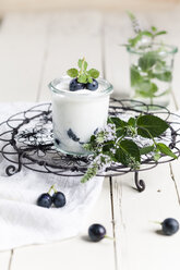 Joghurt mit blauen Weintrauben und Minze - SBDF001239