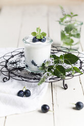 Yoghurt with blue grapes and mint - SBDF001239