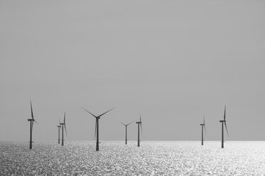 Belgien, Westflandern, Ostende, Zeebruegge, Windpark Thorntonbank - ELF001289