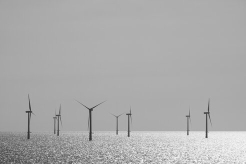 Belgien, Westflandern, Ostende, Zeebruegge, Windpark Thorntonbank - ELF001289