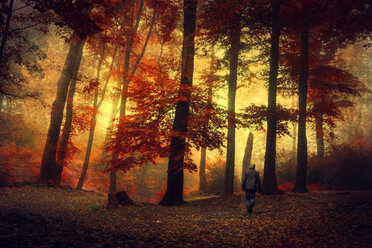 Man walking through autumn forest - DWI000219