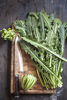 Löwenzahnblätter, Taraxacum Officinale, und Messer auf einem Schneidebrett - SBDF001270