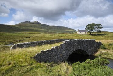 UK, Schottland, Altnaharra, alte Brücke mit Gras überwuchert - ELF001325