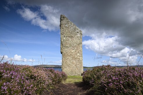 Vereinigtes Königreich, Schottland, Orkney-Inseln, Ring of Brodgar - ELF001348