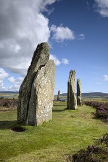 Vereinigtes Königreich, Schottland, Orkney-Inseln, Ring of Brodgar - ELF001349