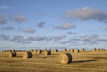 United Kingdom, Scotland, straw bales on a field - ELF001350