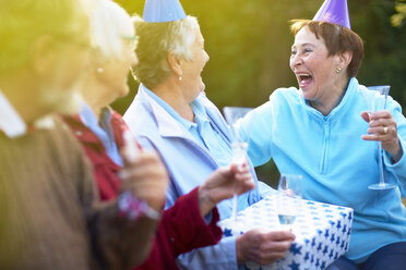 Seniorenfreunde auf einer Geburtstags-Gartenparty - ZEF001032