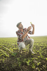 Porträt eines Landwirts mit Blick auf eine Pflanze auf einem Feld - UUF002021