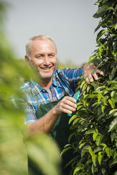 Portrait of smiling gardener pruning plants in a park - UUF002032