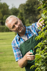 Portrait of gardener pruning plants in a park - UUF002035