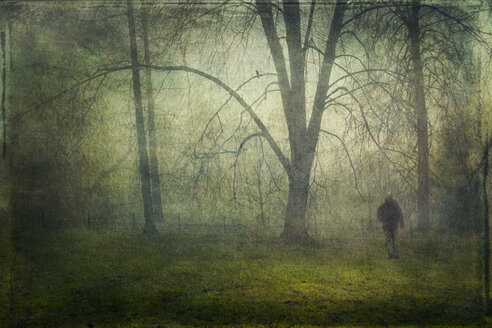 Deutschland, Wuppertal, Mann geht bei Nebel und Nieselregen im Park spazieren - DWI000224