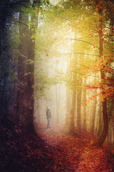 Germany, autumn forest, man standing on forest track - DWI000237