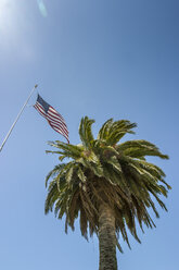 USA, Kalifornien, San Francisco, US-Flagge mit Palme und sonnigem Himmel - NKF000202