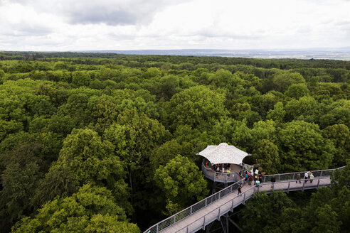 Germany, Thuringia, Hainich, canopy walkway Hainich - TKF000407