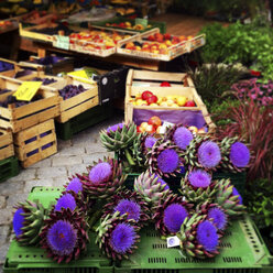 Germany, Baden-Wurttemberg, Artichoke flowers at market - LVF001973