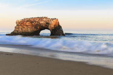 USA, Kalifornien, Santa Cruz County, Big Sur, Pazifischer Ozean, Natural Bridges State Beach, Natural Bridge im Abendlicht - FOF007251