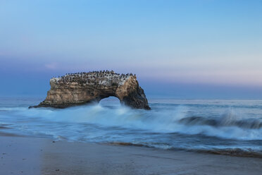 USA, Kalifornien, Santa Cruz County, Big Sur, Pazifischer Ozean, Natural Bridges State Beach, Natural Bridge, Blaue Stunde - FOF007254