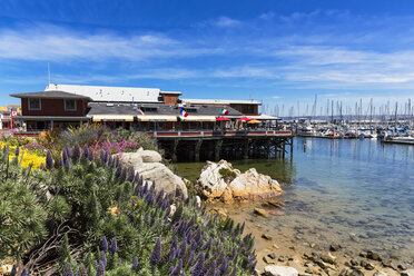 USA, California, Monterey County, Monterey, Restaurants at the Fisherman's Wharf - FOF007259
