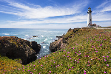 USA, California, Big Sur, Pacific Coast, National Scenic Byway, View to Pigeon Point Lighthouse - FOF007246