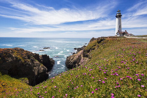 USA, Kalifornien, Big Sur, Pazifikküste, National Scenic Byway, Blick auf Pigeon Point Lighthouse - FOF007246