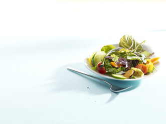 Gemischter Salat auf dem Teller - SRSF000512