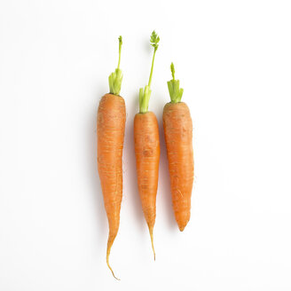 Three carrots in a row - SRSF000529