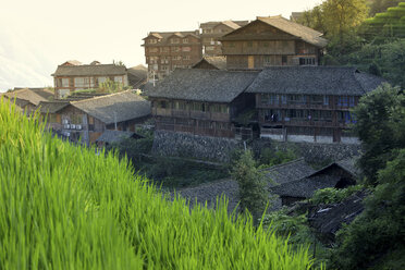 China, Guangxi, Ping'an, rice field La Columna del Dragon - DSGF000178