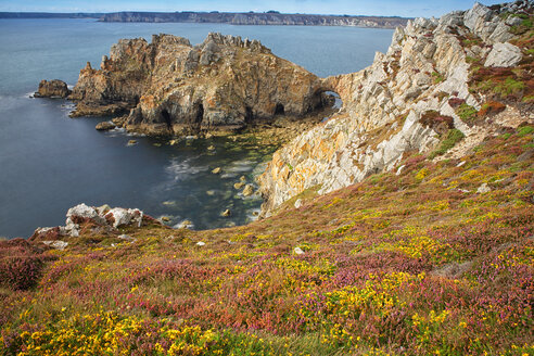 Frankreich, Bretagne, Pointe de Dinan - DSGF000243