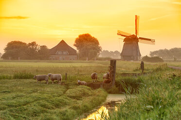 Netherlands, North Holland, windmill at sunset - DSGF000282