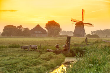 Niederlande, Nordholland, Windmühle bei Sonnenuntergang - DSGF000282