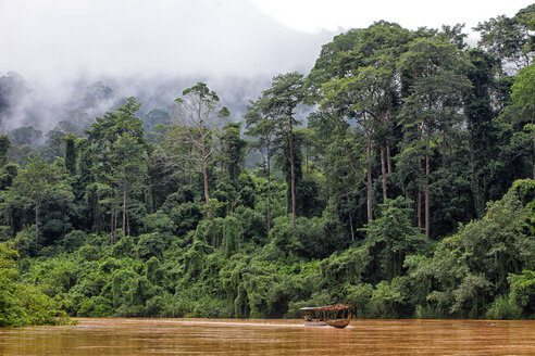 Malaysia, Pahang, Taman-Negara-Nationalpark, Dschungel bei Sungai Tembeling - DSGF000294