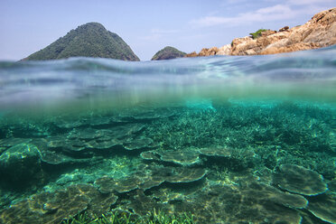 Malaysia, South China Sea, Tioman Island, Coral reef - DSGF000298