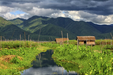 Myanmar, Kanal am Inle-See - DSGF000356