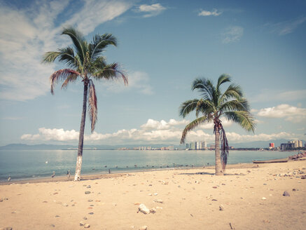 Beach with two palm trees in Puerto Vallarta, Mexico - ABAF001494