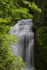 Spain, Ordesa National Park, waterfall of Arazas River - DSGF000393