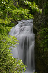 Spanien, Ordesa-Nationalpark, Wasserfall des Flusses Arazas - DSGF000393