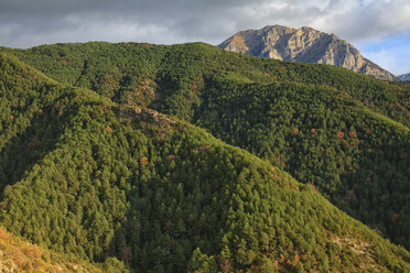 Spanien, Ordesa-Nationalpark, Berglandschaft mit Wald - DSGF000490