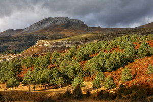 Spanien, Ordesa-Nationalpark, Berglandschaft mit Wald - DSGF000491