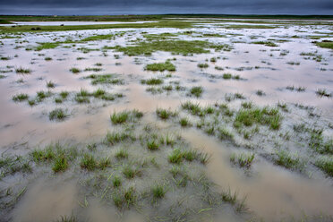 Spain, Province of Zamora, Villafafila gaps filled with water in spring - DSGF000375