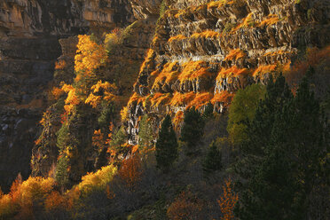 Spanien, Ordesa-Nationalpark, Felswand - DSGF000471