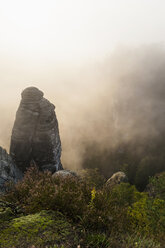 Deutschland, Sachsen, Sächsische Schweiz, Nationalpark, Bastei-Felsformation im Nebel - MJF001351