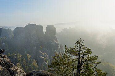 Germany, Saxony, Saxon Switzerland, National Park, Bastei rock formation in the morning light - MJF001368