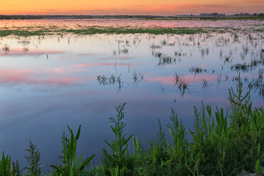 Spain, Andalusia, Huelva province, Donana National Park, Guadalquivir river - DSGF000420