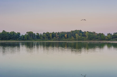 Deutschland, Sachsen, Moritzburg, See im Abendlicht - MJF001360