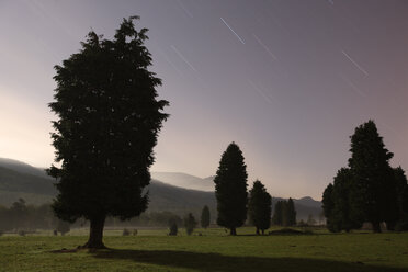 Spanien, Silhouetten von Bäumen im Naturpark Gorbea - DSGF000592