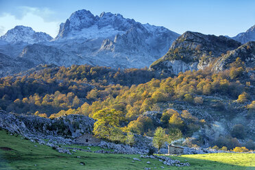 Spanien, Herbst im Nationalpark Picos de Europa - DSGF000508