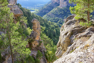 Spanien, Naturpark Serrania de Cuena - DSGF000676