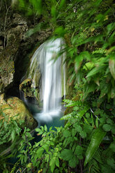 Spain, Urbasa y Andia Natural Park, Urederra river flowing between trees - DSGF000618