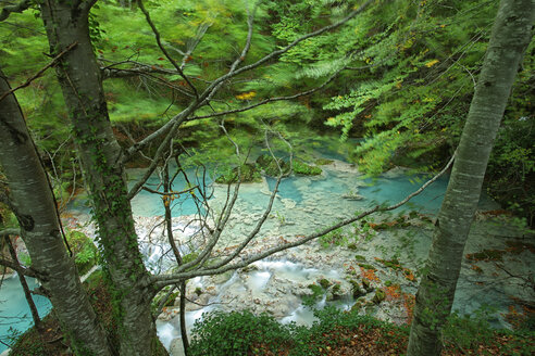 Spanien, Naturpark Urbasa y Andia, Fluss Urederra fließt zwischen Bäumen - DSGF000624